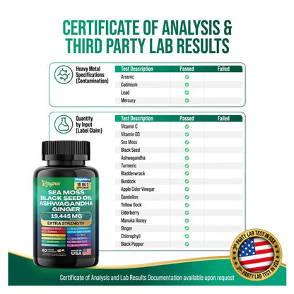 Dynamisches Vitalitätspaket – Zoyava Seemoos Multivitamin- & Power-Kombi