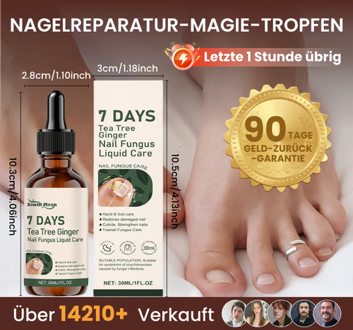 Furzero™ - SOUTH MOON🌟 Bienengift Nagelpilzbehandlung: Eine Komplettlösung für Nagelpilz