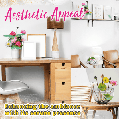 Dekorative Lotusblütensamen