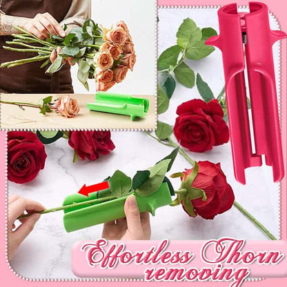 Rosendornentferner