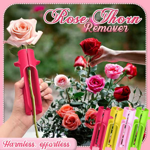 Rosendornentferner